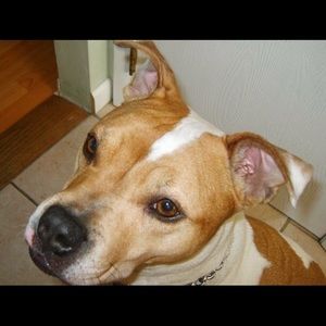 Meet your Posher, Hunter